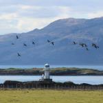 Lighthouse,Port Appin